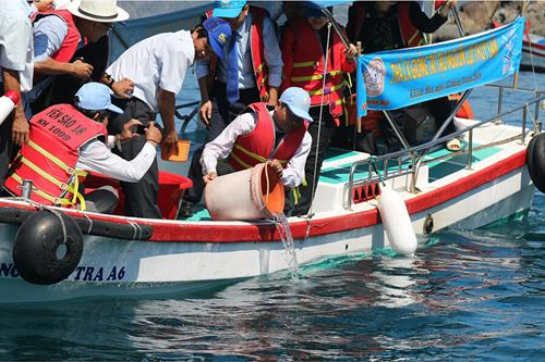 What's Special About Nha Trang Culture?