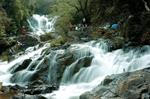 Tour Đà Lạt Trong Ngày Từ Mũi Né - Phan Thiết