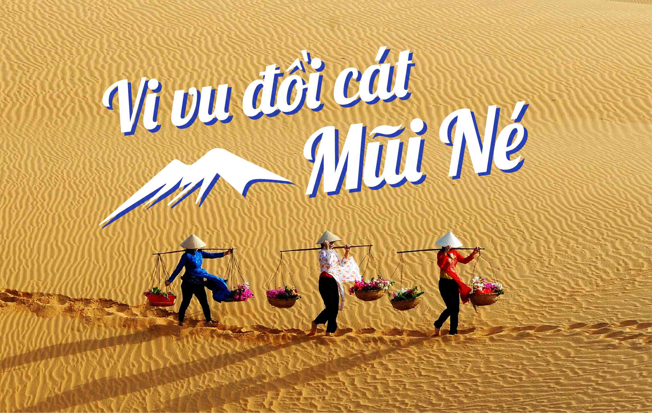 Tour Du Lịch Đồi Cát Mũi Né ( Nữa Ngày ) 