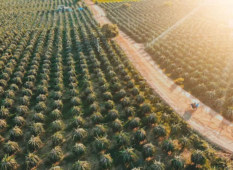 Tour Phan Thiết - Tà Cú: Ghé 4 Điểm Trong 1 Ngày