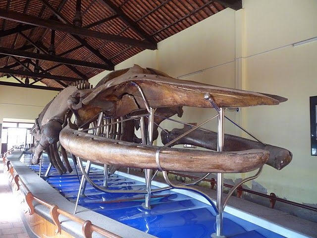 Tour Phan Thiết - Tà Cú: Ghé 4 Điểm Trong 1 Ngày